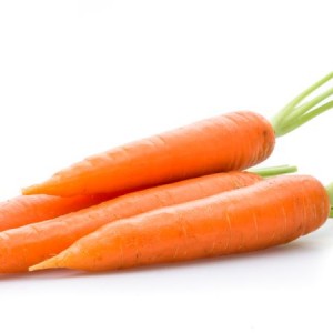 Sport og friluftsliv