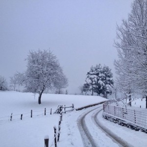 Sport og friluftsliv