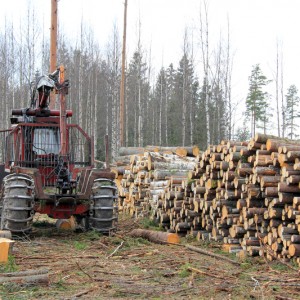 Sport og friluftsliv