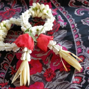 Sport og friluftsliv