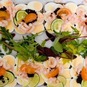 Sport og friluftsliv