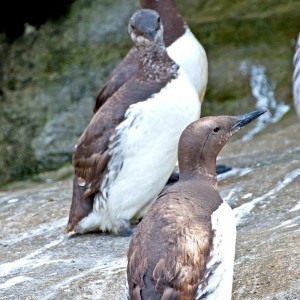 Sport og friluftsliv