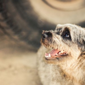 Sport og friluftsliv