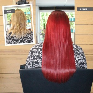 Sport og friluftsliv