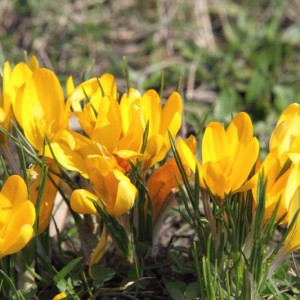 Sport og friluftsliv