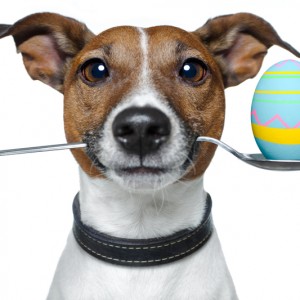 Sport og friluftsliv