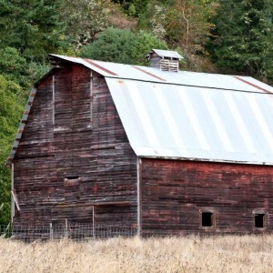 Sport og friluftsliv
