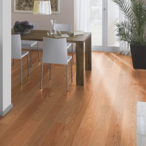 Sport og friluftsliv