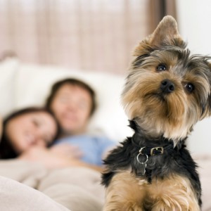 Sport og friluftsliv