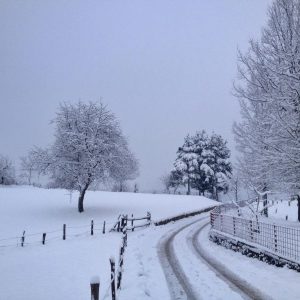 Sport og friluftsliv